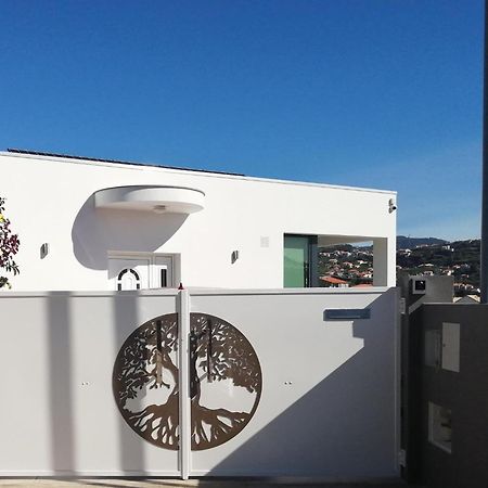The Tree Of Life House Hotel Ponta do Sol  Luaran gambar